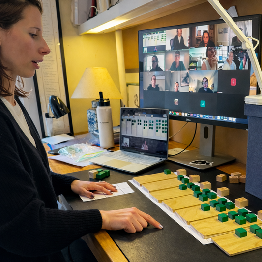 Summer Zoom Training Class